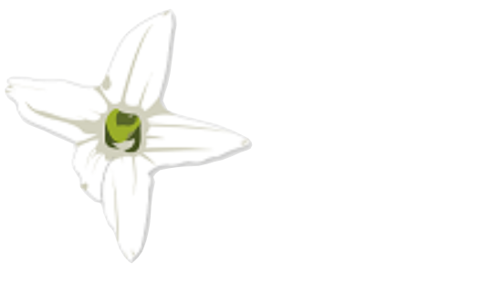 MLS Sigorta